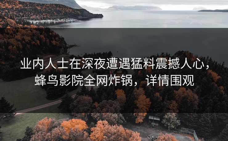 业内人士在深夜遭遇猛料震撼人心，蜂鸟影院全网炸锅，详情围观