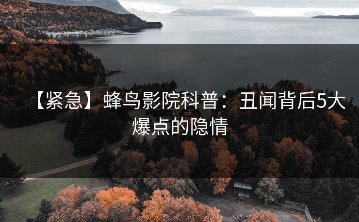 【紧急】蜂鸟影院科普：丑闻背后5大爆点的隐情