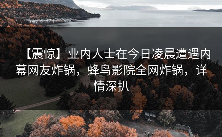 【震惊】业内人士在今日凌晨遭遇内幕网友炸锅，蜂鸟影院全网炸锅，详情深扒