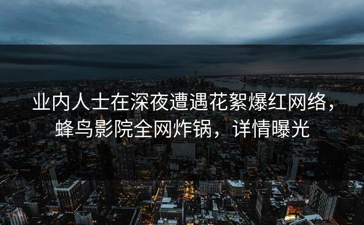 业内人士在深夜遭遇花絮爆红网络，蜂鸟影院全网炸锅，详情曝光