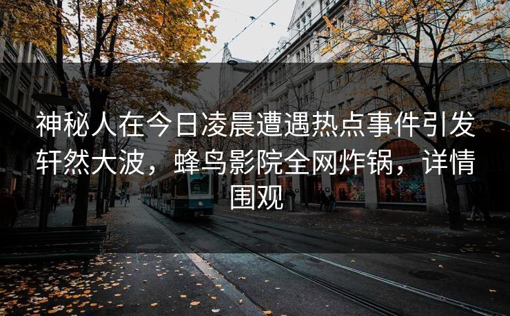 神秘人在今日凌晨遭遇热点事件引发轩然大波，蜂鸟影院全网炸锅，详情围观